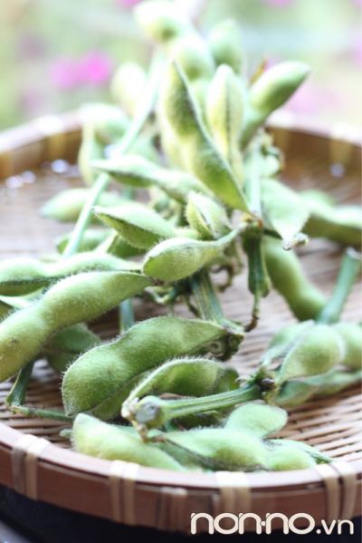 đậu nành lông edamame